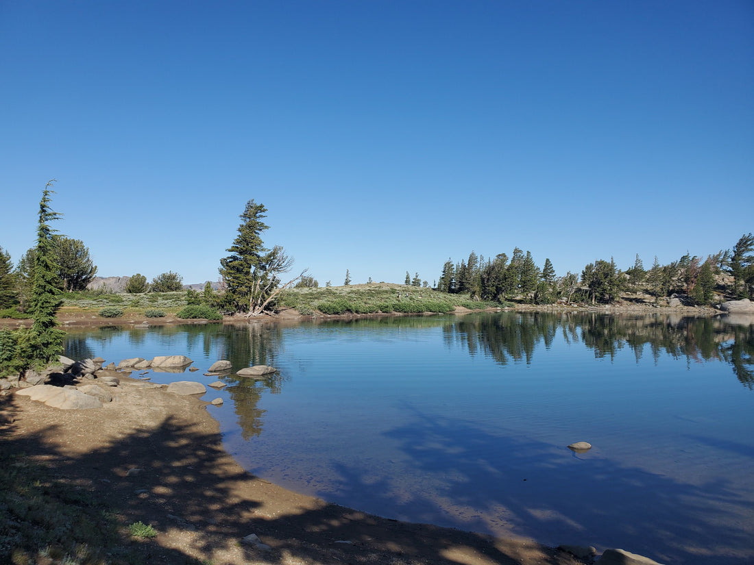 Mokelumne Wilderness Hike